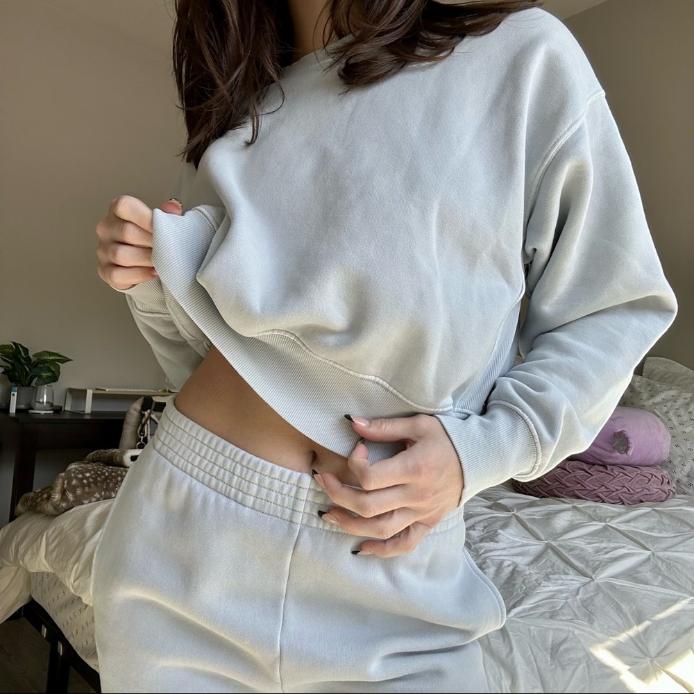 Aritzia TNA Cozy Fleece Boyfriend Boxy Cropped Sweatshirt in Mirror Blue